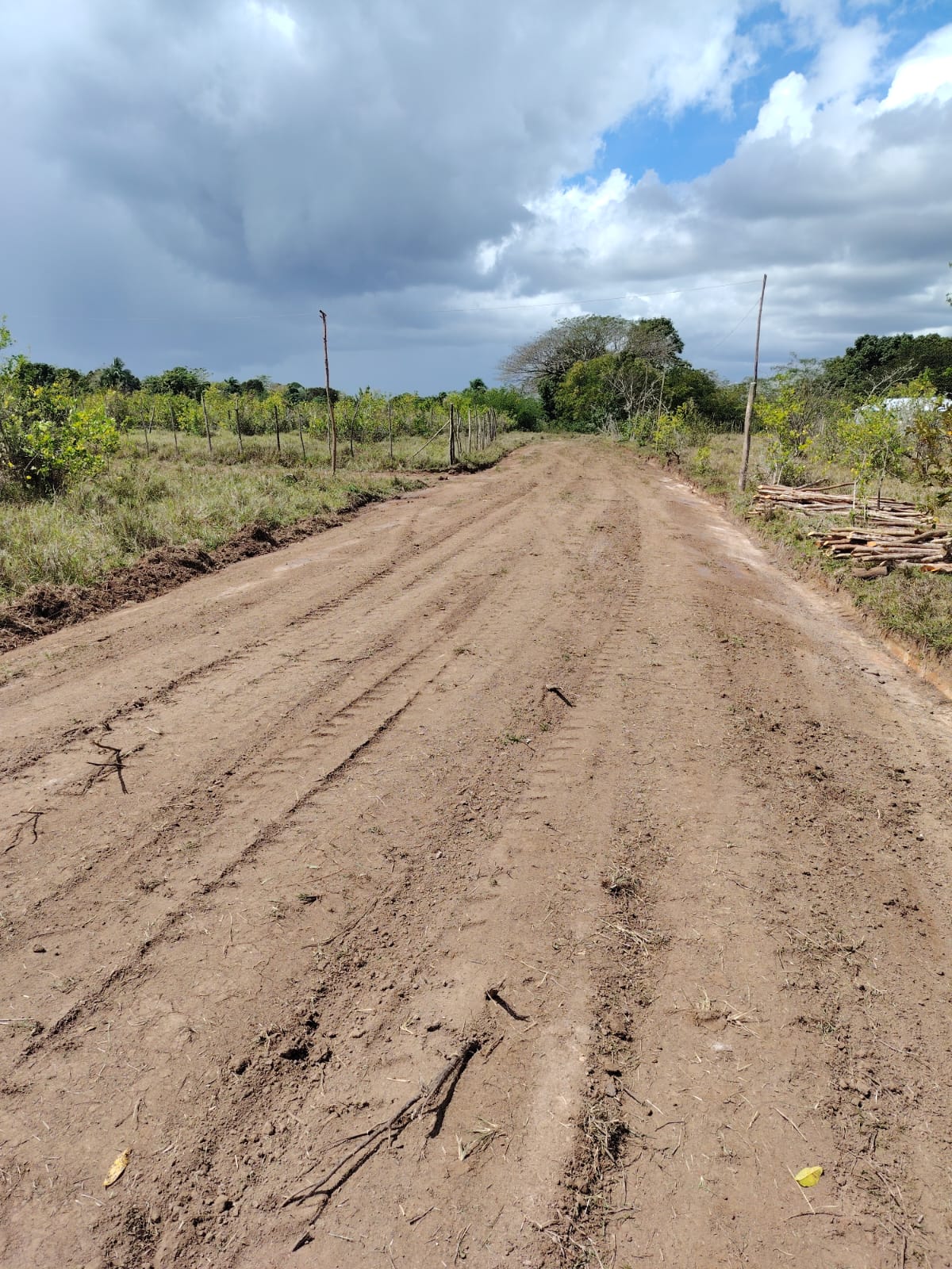 Apertura de calles